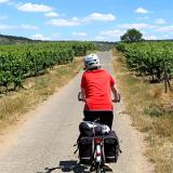 1907G 025 Mosel und viel Wein